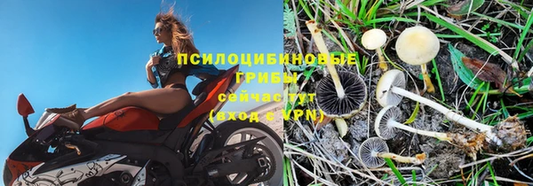 не бодяженный Арсеньев