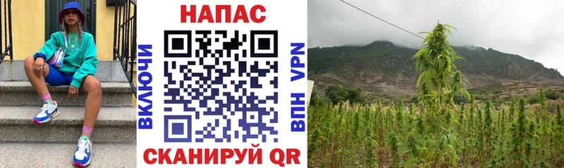 Шишки марихуана THC 21%  blacksprut вход  Сунжа  купить  